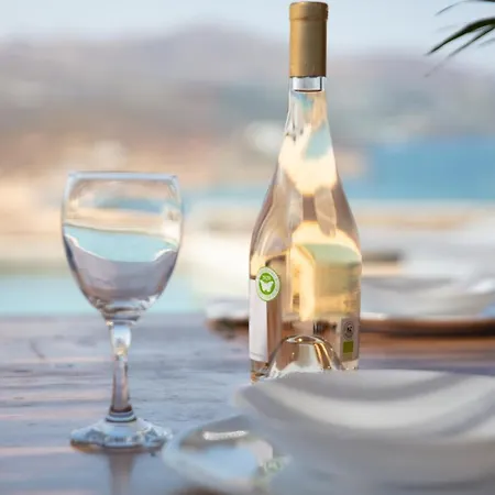 Mykonos Residence Villas & Suites Merchia Beach *